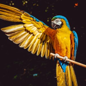 Photography for Seasonal Marketing Campaigns