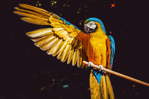 Photography for Seasonal Marketing Campaigns